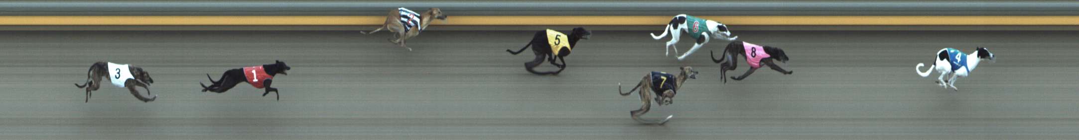 Photo finish for Shepparton Race 12