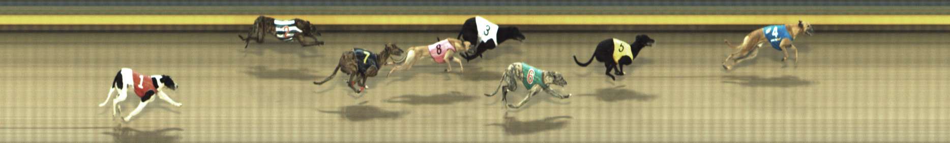 Photo finish for Shepparton Race 13