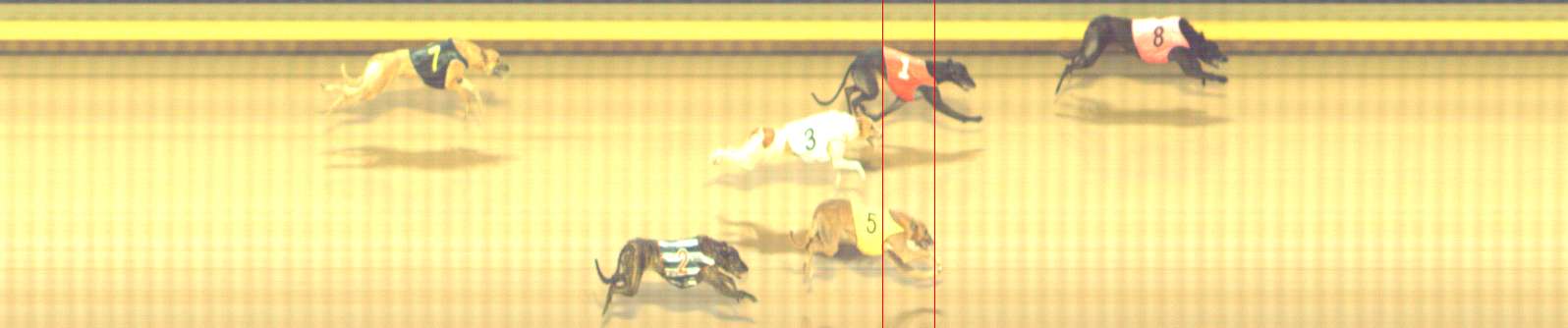 Photo finish for Shepparton Race 14