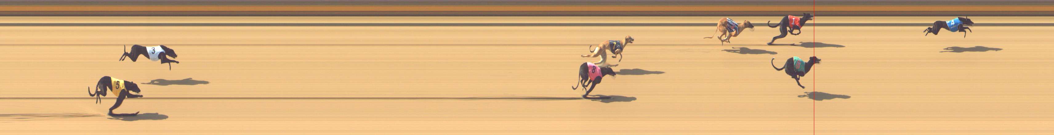 Photo finish for Shepparton Race 2