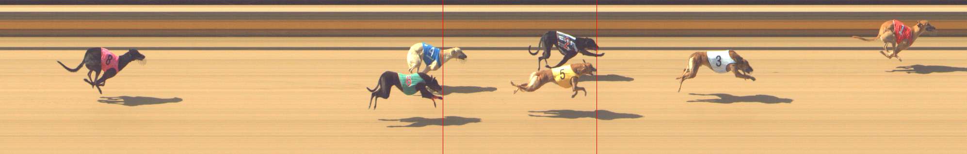 Photo finish for Shepparton Race 3