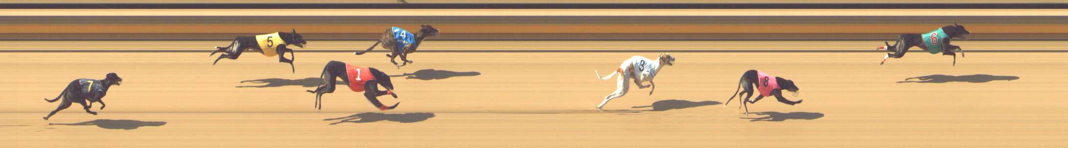 Photo finish for Shepparton Race 4