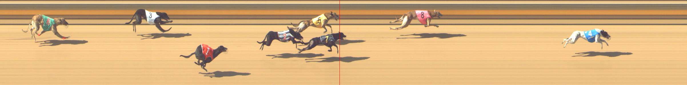 Photo finish for Shepparton Race 5