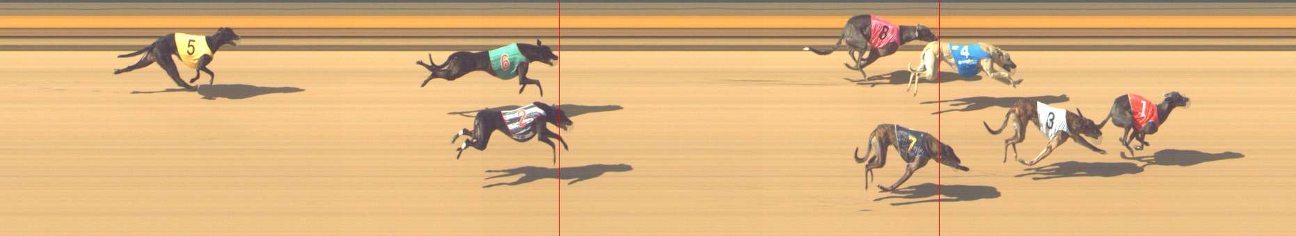 Photo finish for Shepparton Race 6