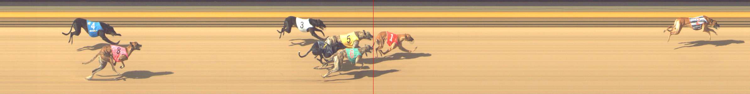 Photo finish for Shepparton Race 7
