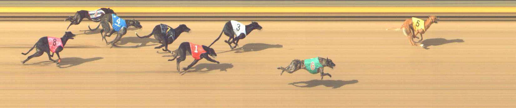 Photo finish for Shepparton Race 8