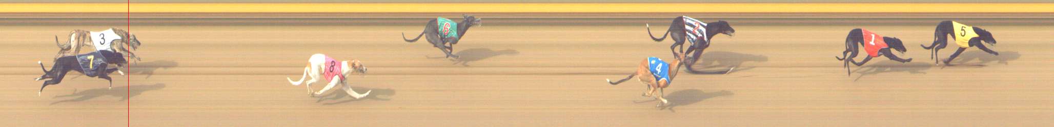 Photo finish for Shepparton Race 9