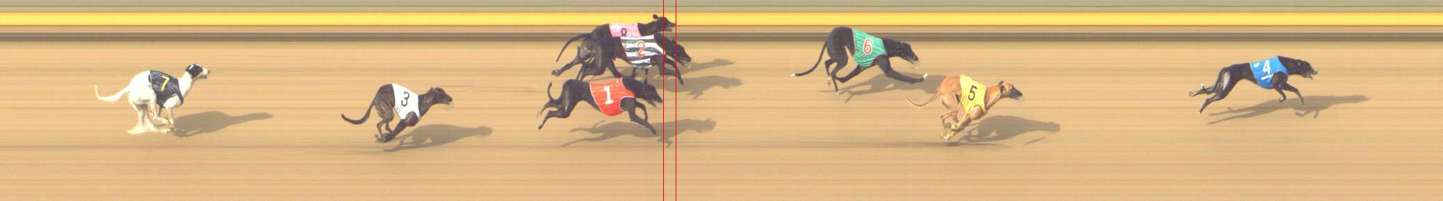 Photo finish for Shepparton Race 10