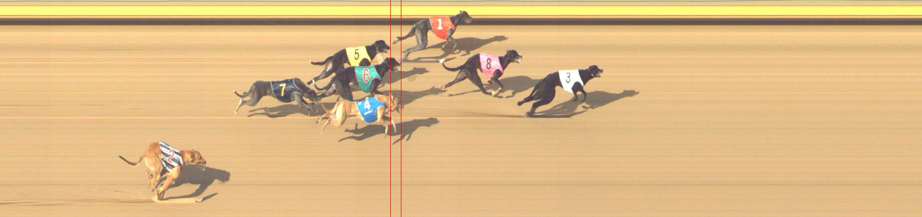 Photo finish for Shepparton Race 11