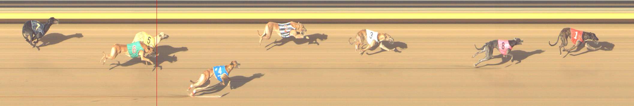 Photo finish for Shepparton Race 12