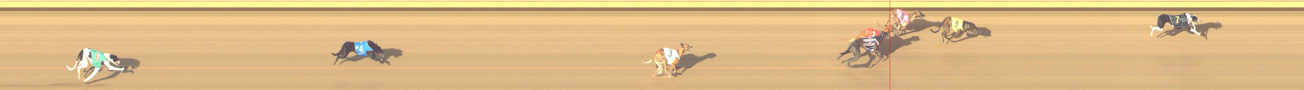 Photo finish for Shepparton Race 13