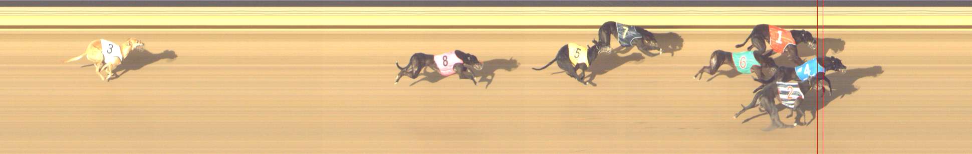 Photo finish for Shepparton Race 14