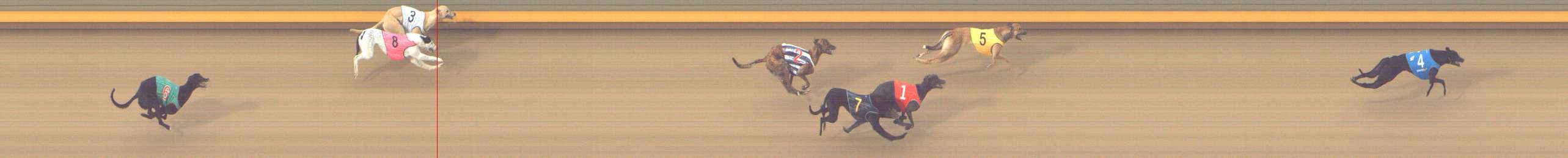 Photo finish for Shepparton Race 1