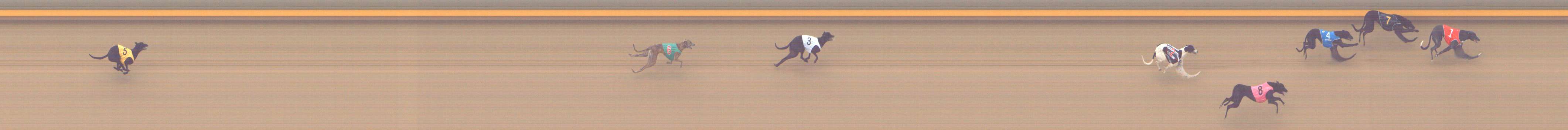 Photo finish for Shepparton Race 2