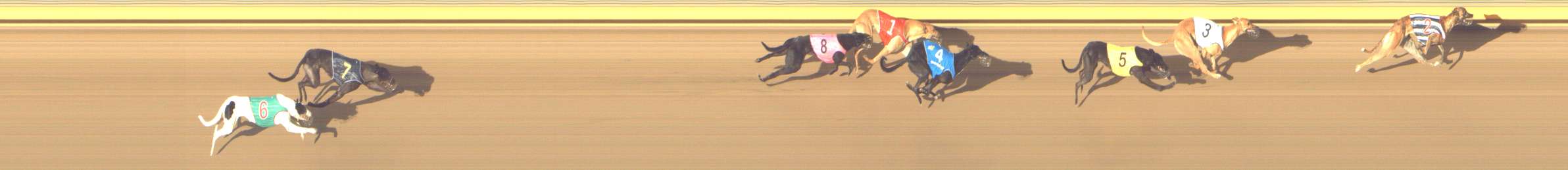 Photo finish for Shepparton Race 3