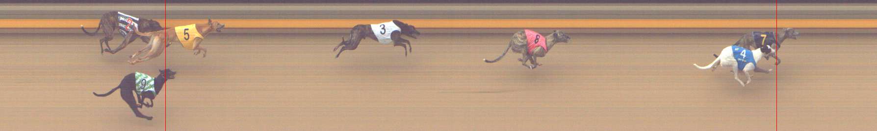 Photo finish for Shepparton Race 4