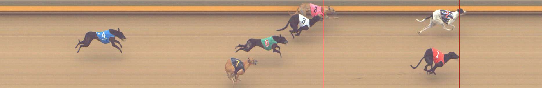 Photo finish for Shepparton Race 5