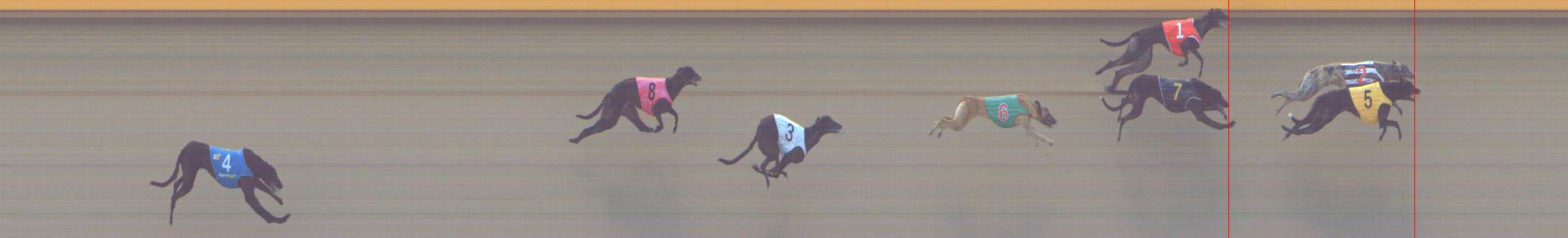 Photo finish for Shepparton Race 7