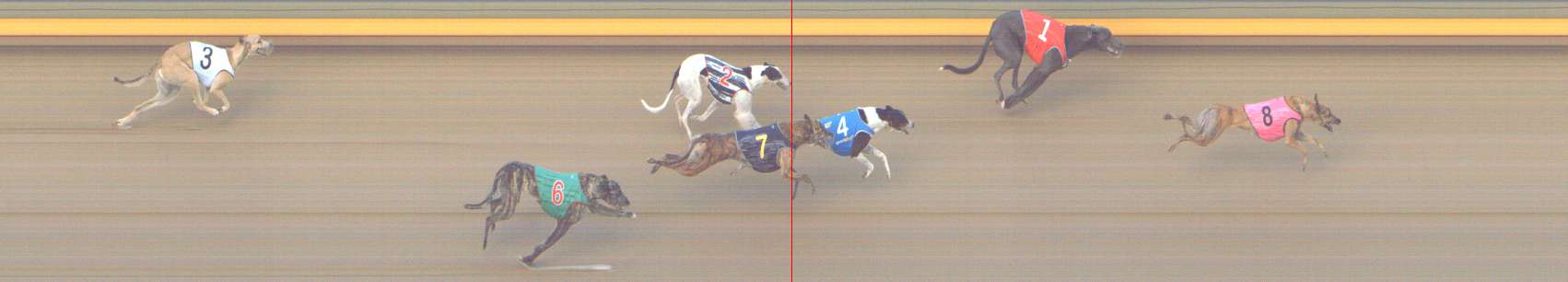 Photo finish for Shepparton Race 8