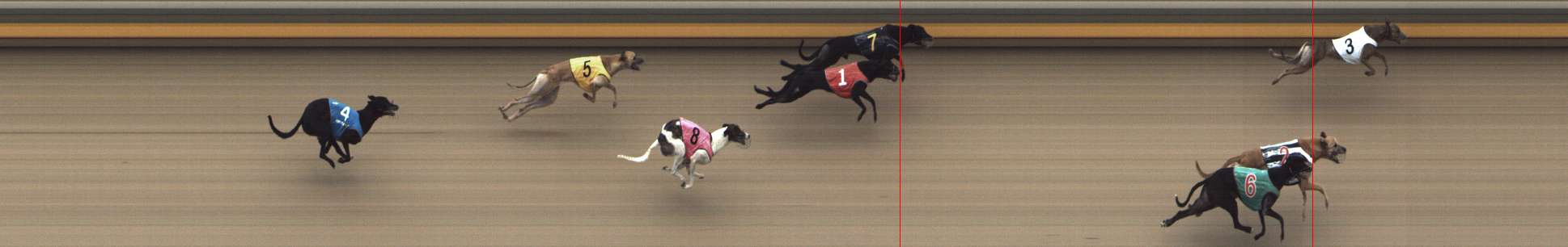 Photo finish for Shepparton Race 9