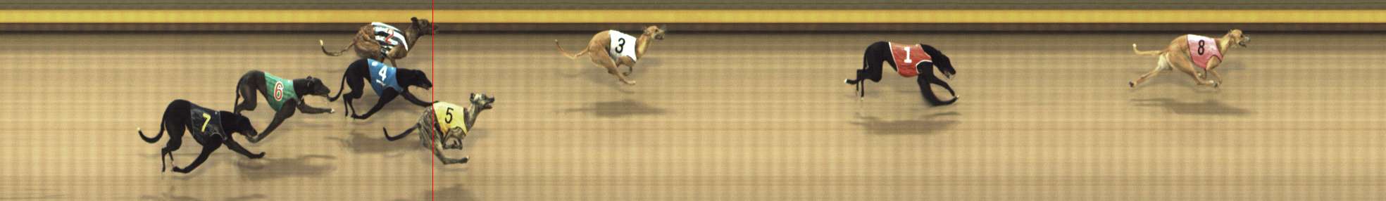 Photo finish for Shepparton Race 10