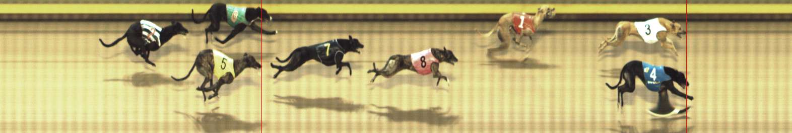 Photo finish for Shepparton Race 11