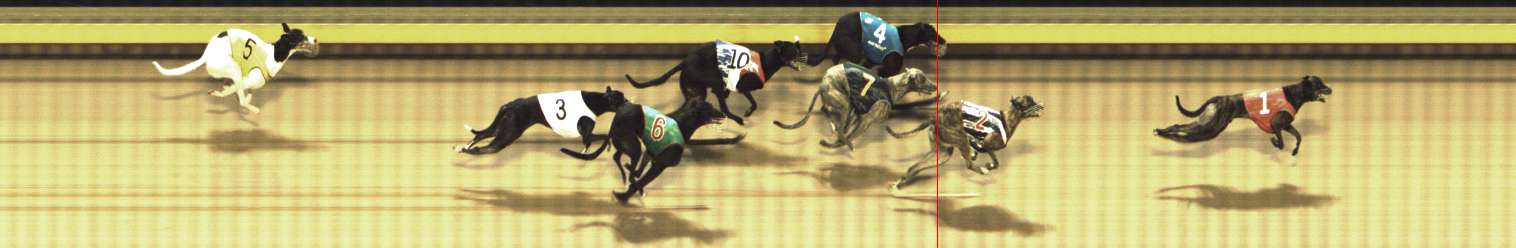Photo finish for Shepparton Race 12