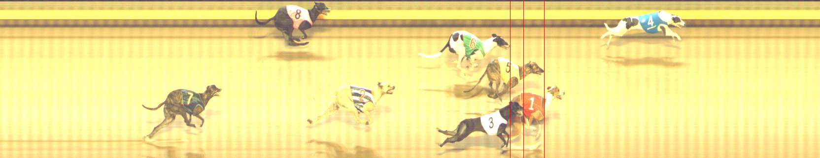 Photo finish for Shepparton Race 13