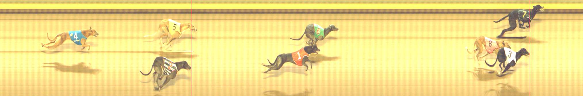 Photo finish for Shepparton Race 14