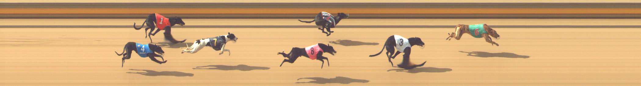 Photo finish for Shepparton Race 1