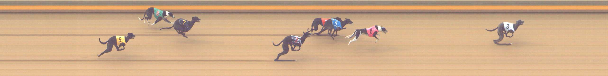 Photo finish for Shepparton Race 2