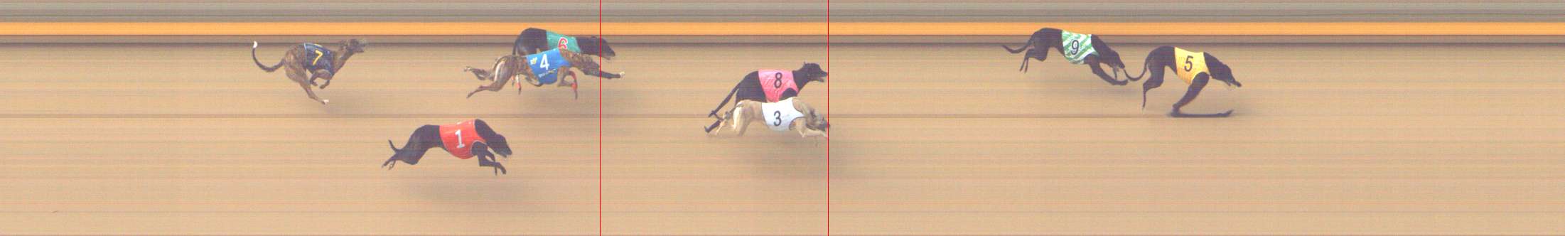 Photo finish for Shepparton Race 3