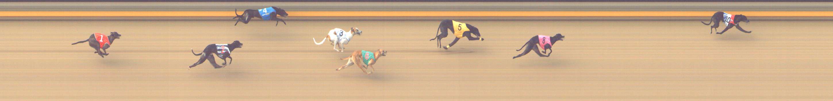 Photo finish for Shepparton Race 4
