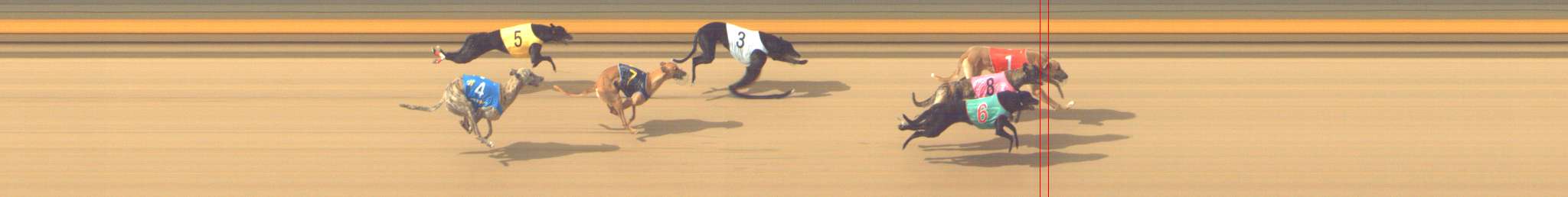 Photo finish for Shepparton Race 5