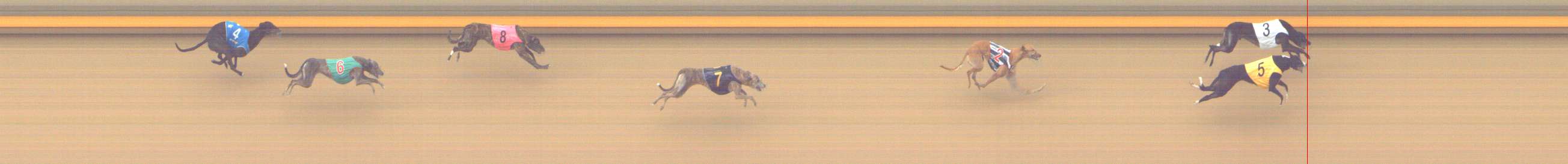 Photo finish for Shepparton Race 6