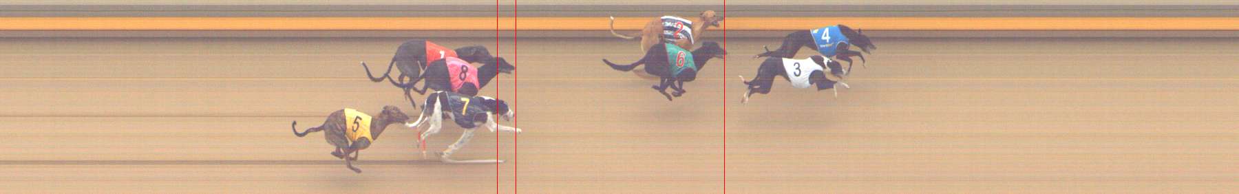 Photo finish for Shepparton Race 7