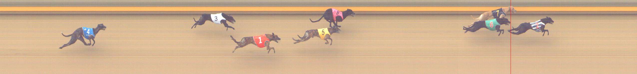 Photo finish for Shepparton Race 8