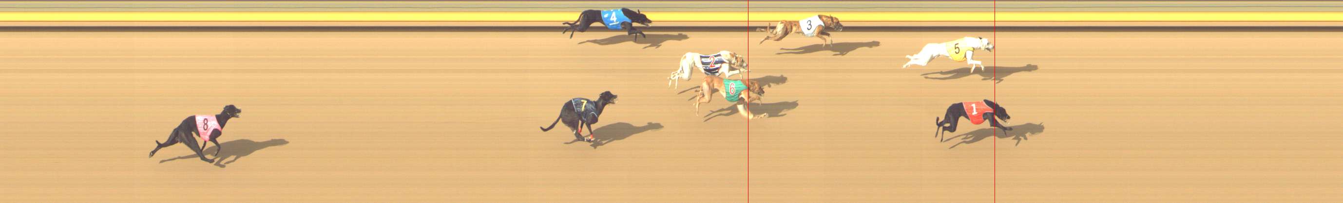 Photo finish for Shepparton Race 9