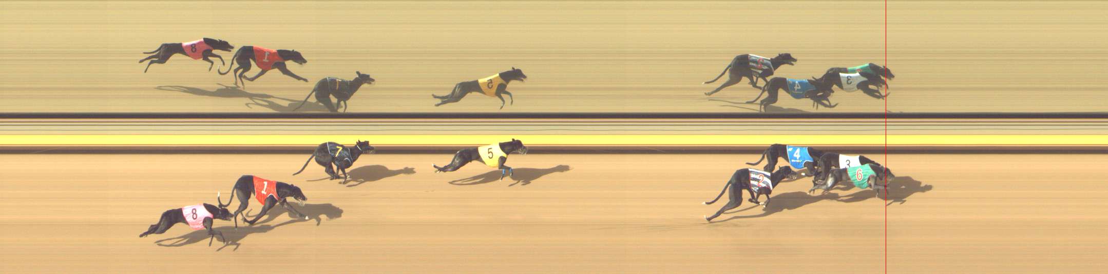 Photo finish for Shepparton Race 10