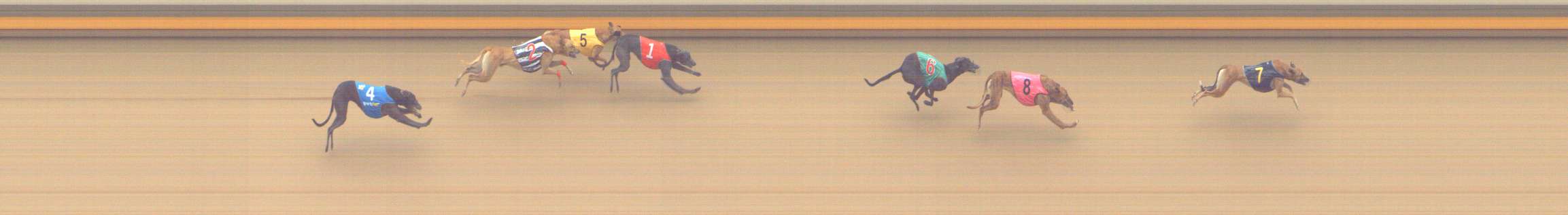 Photo finish for Shepparton Race 11