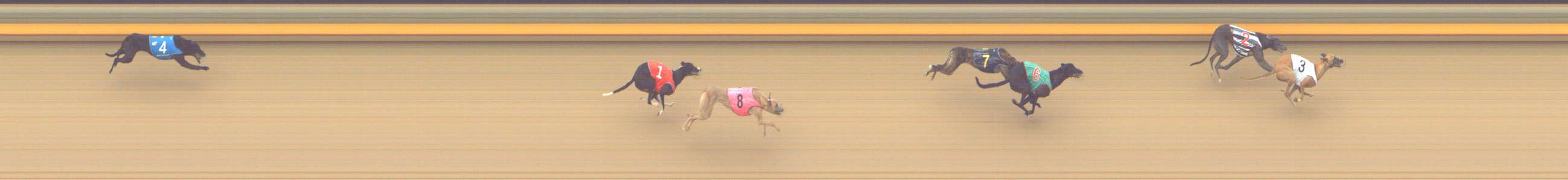 Photo finish for Shepparton Race 12