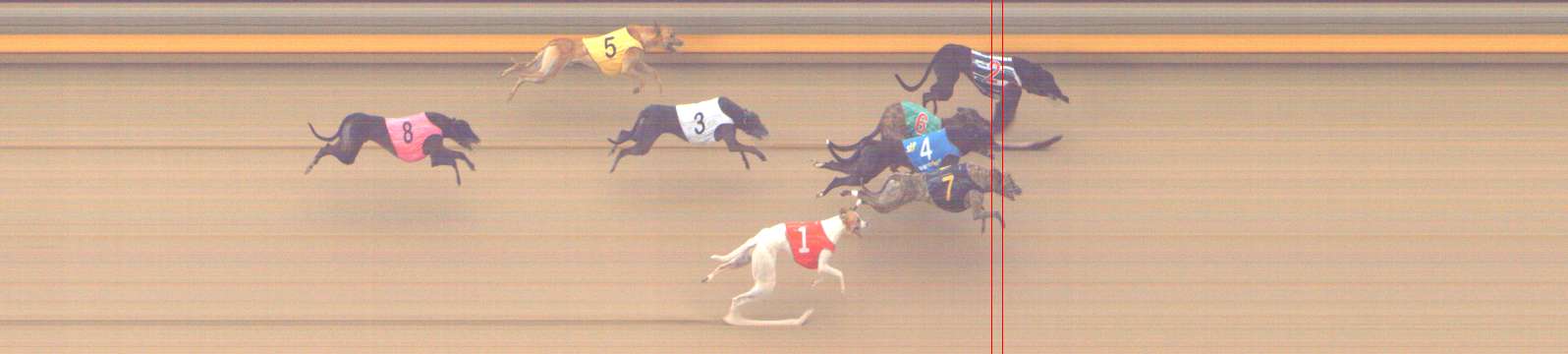 Photo finish for Shepparton Race 13