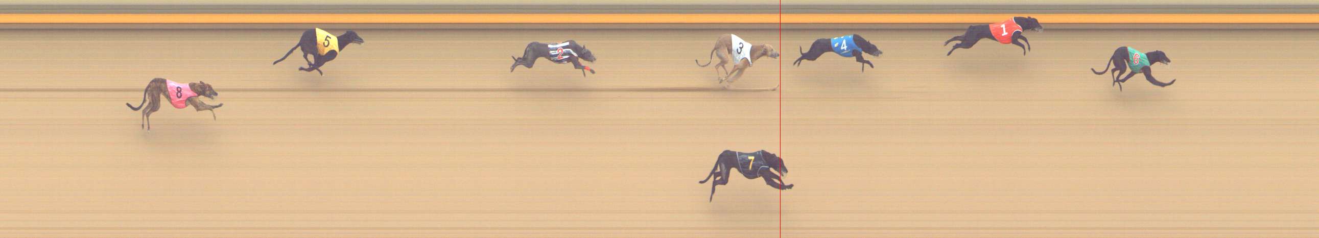 Photo finish for Shepparton Race 14