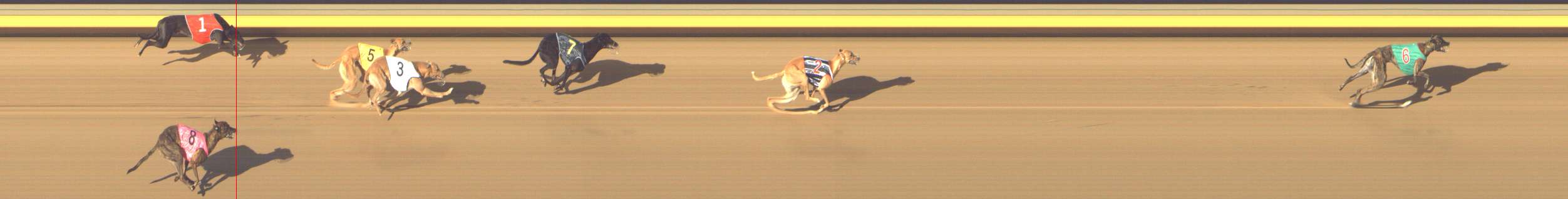 Photo finish for Shepparton Race 1