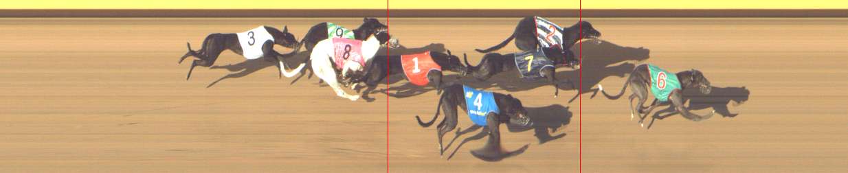 Photo finish for Shepparton Race 2