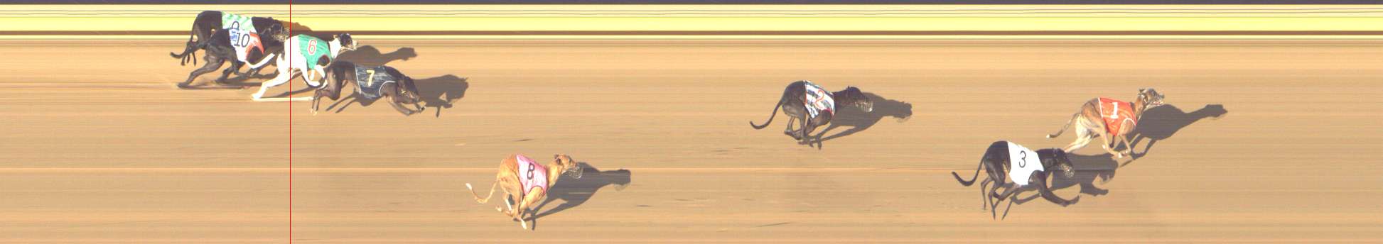 Photo finish for Shepparton Race 3