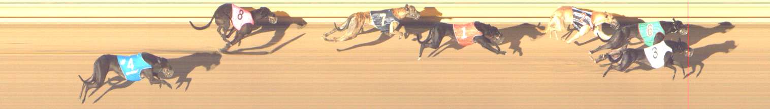 Photo finish for Shepparton Race 4
