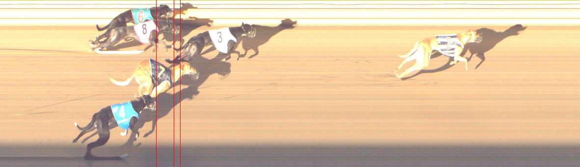 Photo finish for Shepparton Race 5
