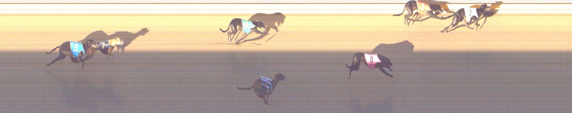 Photo finish for Shepparton Race 6