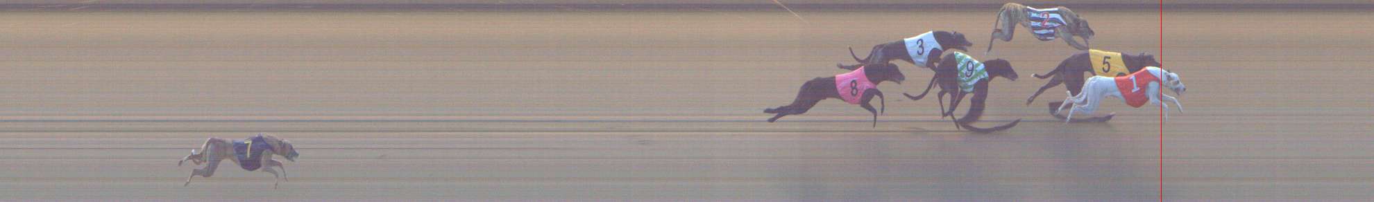 Photo finish for Shepparton Race 7